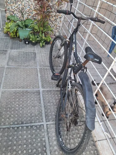 BICICLETA CALOI