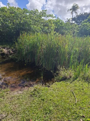 Terreno em Lucena