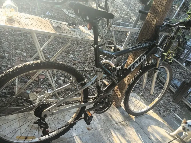 Bicicleta