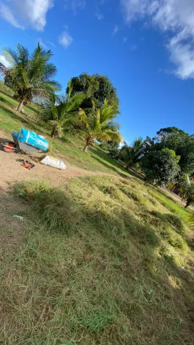 Vendo Feno, carroça, reboque ou fardo!