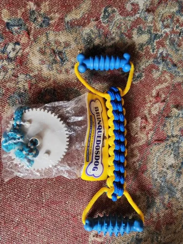 Acessórios pet