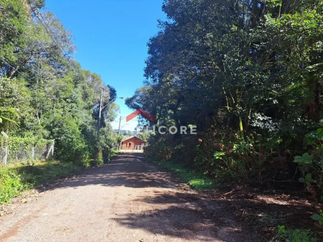 Lote em Rua São Gotardo - São Bernardo - São Francisco de Paula/RS