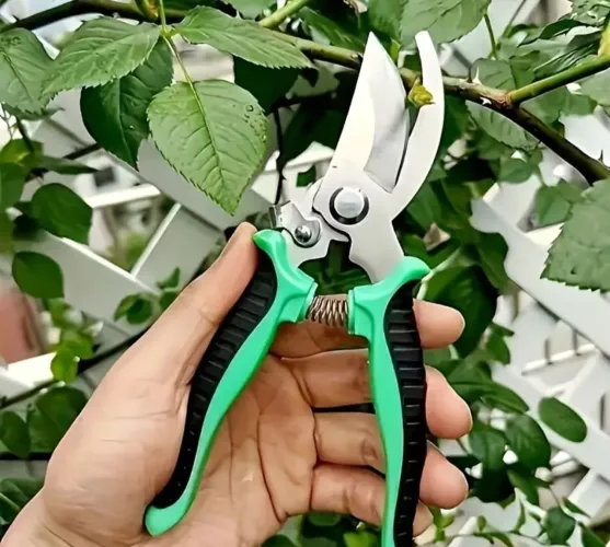 Tesoura para poda