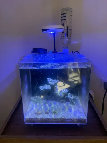 Aquário Marinho completo
