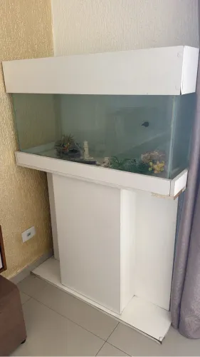 Aquário 250 Litros Completo com Móvel e Acessórios