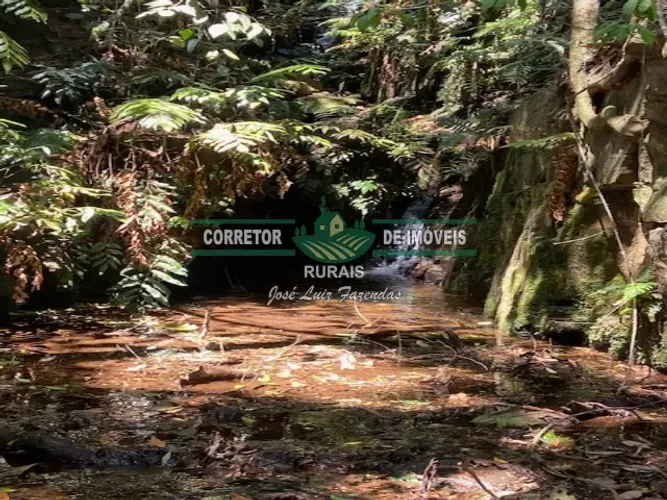 Maravilhoso sítio em Baependi , com 15 hectares , muita água , pequena cachoeira , lugar m