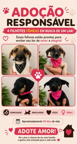 Filhotes cachorro doação