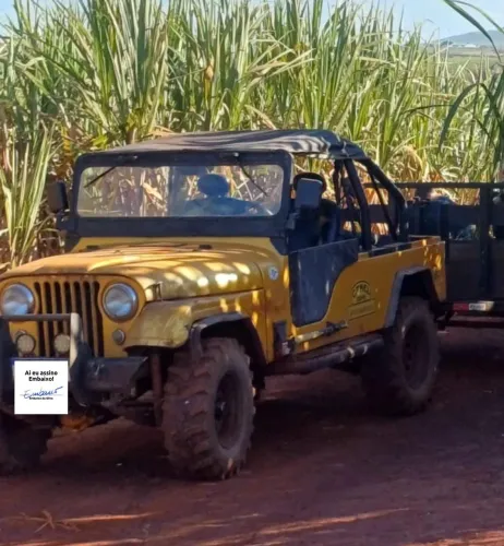 Willys Overland Jeep 2.6 12V Gasolina 2P 1966