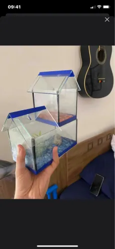 Aquário para peixe beta 