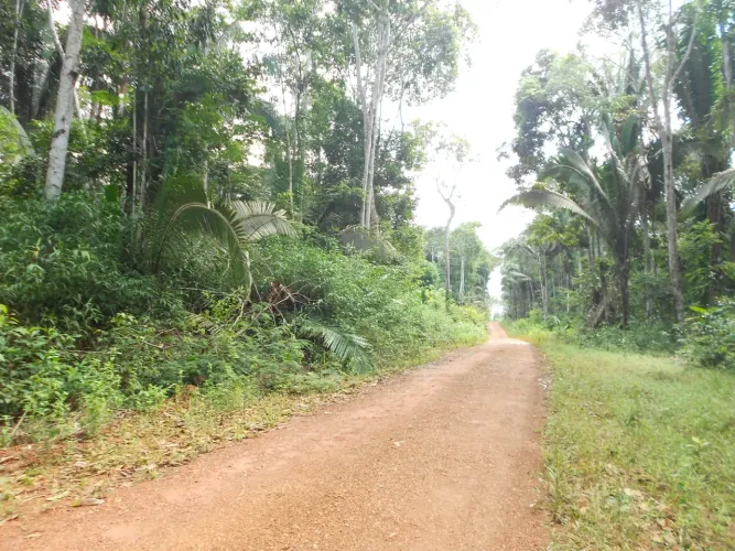 EXCELENTE FAZENDA NA BEIRA DO RIO MUCUIM. 212 HECTARES.