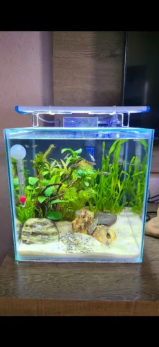 Aquário Cubo 15 litros