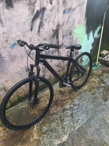 Bicicleta 29