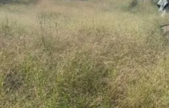 Lucro certo: lote na praia em região crescente