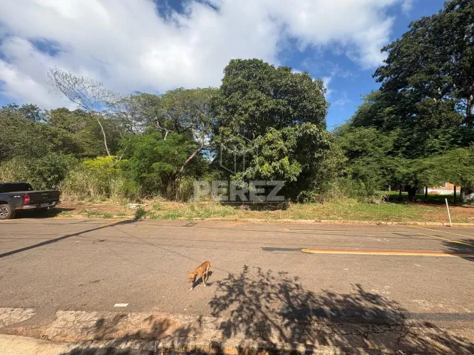 Área em Bonito/MS