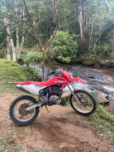 CRF 230 revisada