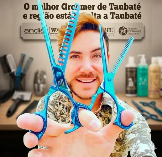 Buscando parceria