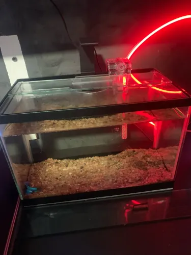 Aquário de 10 litros com filtro substrato e luminária
