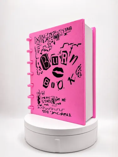BURN BOOK MEAN GIRLS 3D | PORTA-OBJETOS ROSA