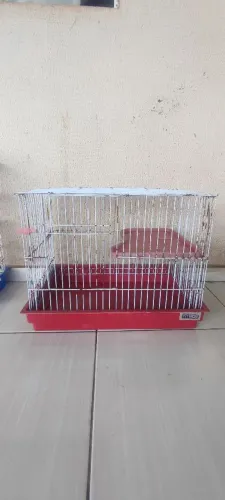 Gaiola para roedores 