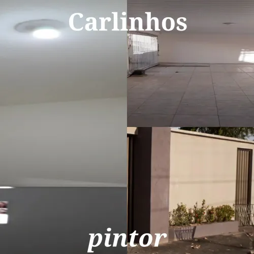 Pintor profissional "carlinhos"