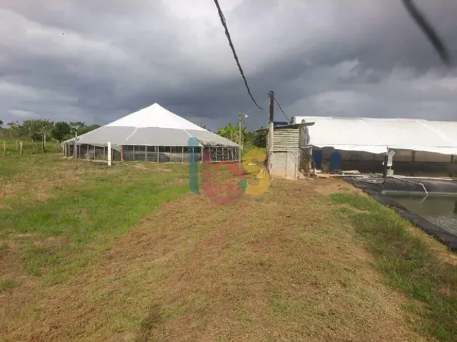 Vendo Fazenda Vida Nova
