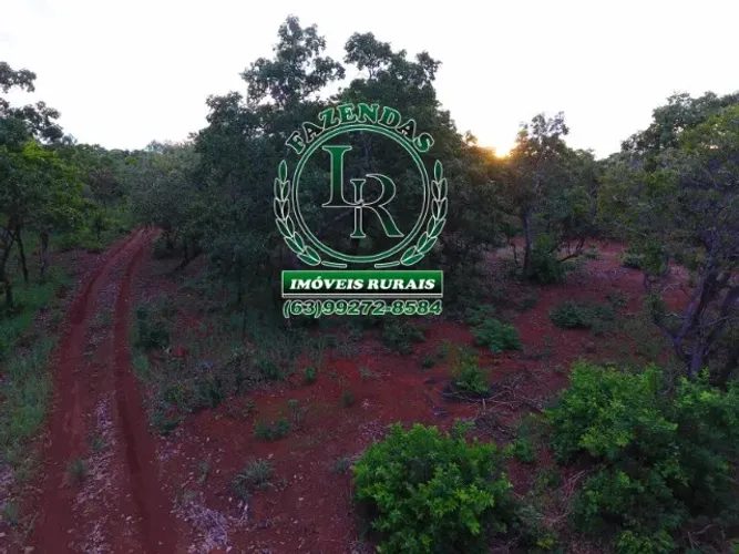 Fazenda 216 Alqueires Bruta Luzimangues