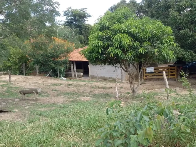 Chácara 3 alqueires em Vianópolis