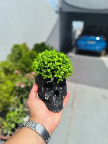 Vaso de Planta Decorativo Caveira (cactos, suculentas etc...)