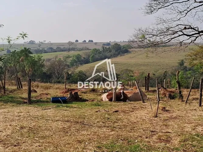 Chácara para Venda em Taciba, Sítio Cobiça I, 3 dormitórios, 2 banheiros, 3 vagas