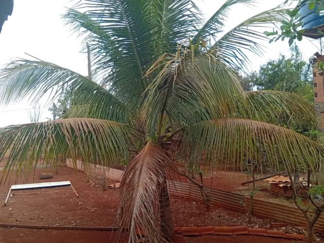 CHÁCARA 14KM GOIÂNIRA-GO 