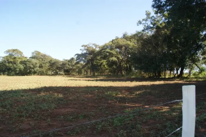 VIVA O SONHO NO CAMPO - PROPRIEDADE RURAL À VENDA!