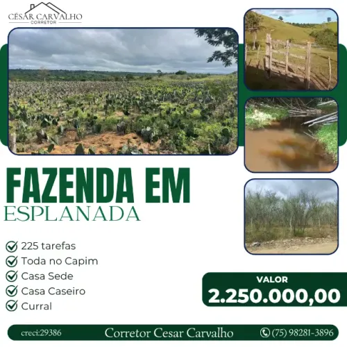 FAZENDA EM ESPLANADA - 225 TAREFAS
