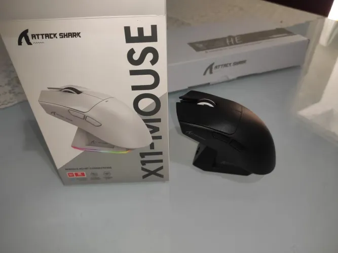 Mouse attack shark x11