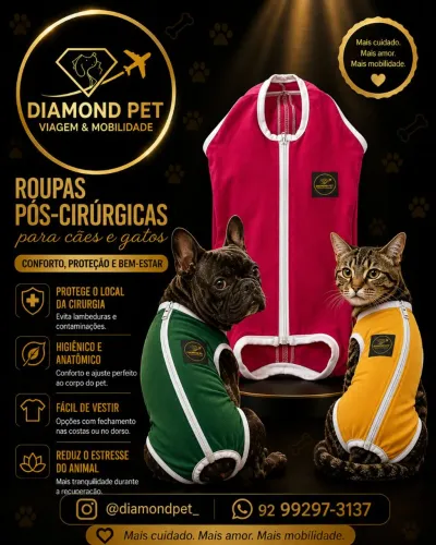 Roupa cirúrgica pós operatório para Pet