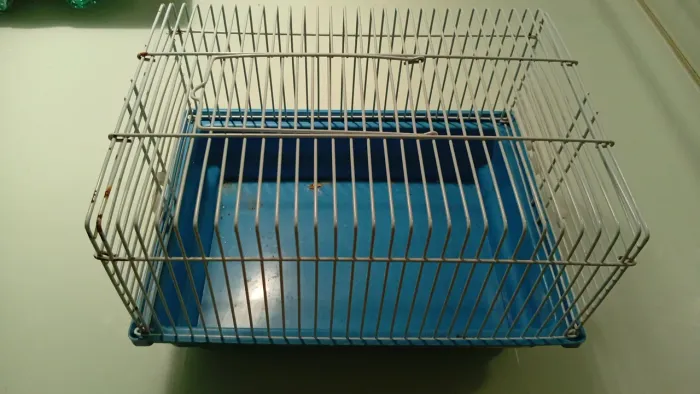 Gaiola para transportar pássaro