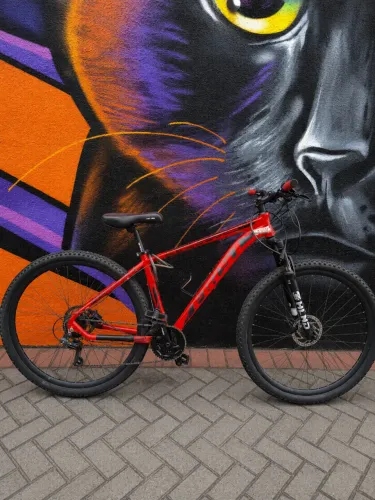 Bicicleta Aro 29 Quadro 17.5