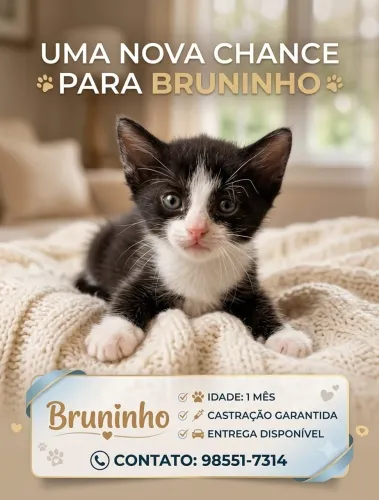 Doação