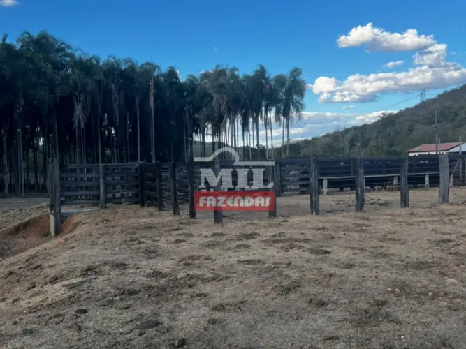 Fazenda 295 Alqueires (1.428 Hectares) Minaçu - GO