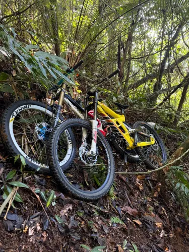 Bike de downhill
