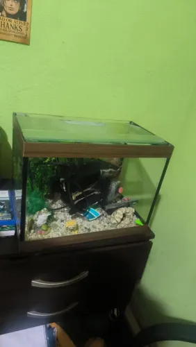 AQUÁRIO SEMI-NOVO 15 LITROS