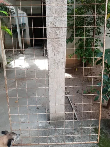 Grade de Ferro 1,88 x 1,19 mts.