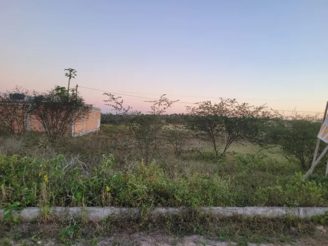 OPORTUNIDADE - Terreno em SERRINHA