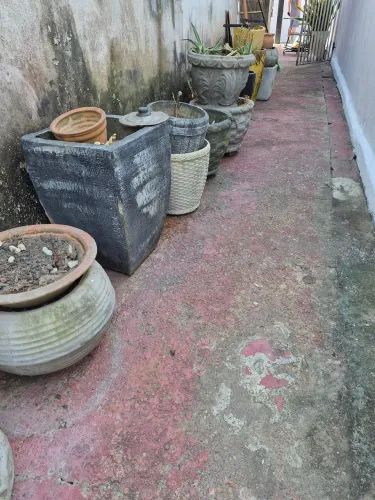 Vasos de plantas