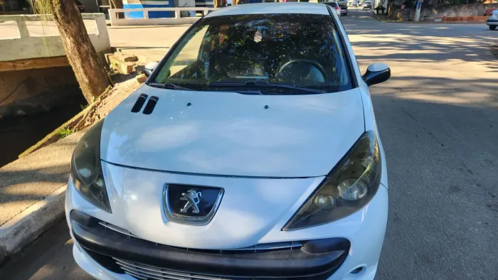 Peugeot 207 XS 1.6 Flex 16V 5P 2011