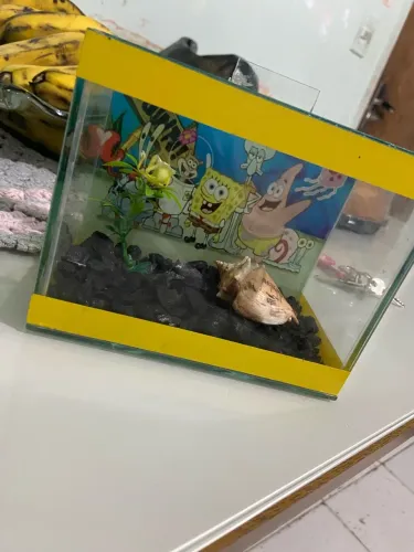 Vendo aquário