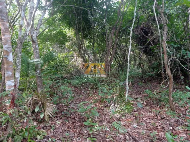 Terreno com 1 Quarto à Venda, Setor Central - Marianópolis do Tocantins