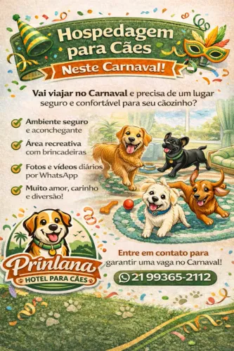 Hotel cães e Passeios por Niterói