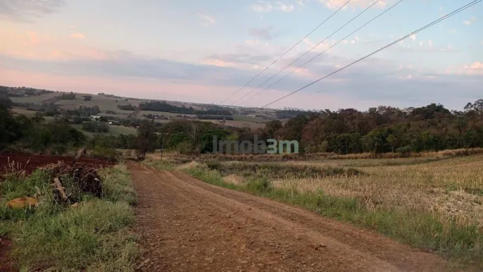 Terreno à venda, 4000 m² por R$ 310.000,00 - Patrimônio Regina - Londrina/PR