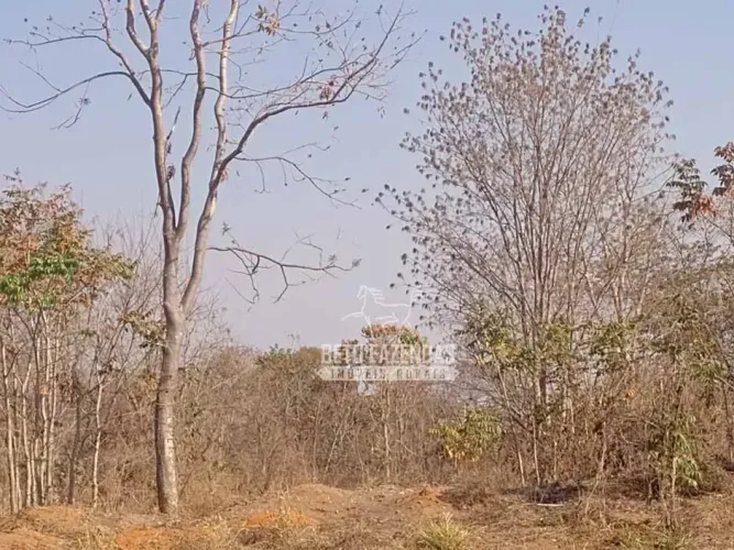 Imóvel para venda tem 13780000 metros quadrados em Zona Rural - São Romão - MG
