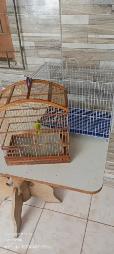 Gaiolas